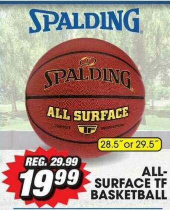Big 5 Spalding All Surface Tf Basketball offer