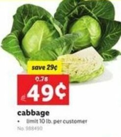 Lidl Cabbage offer