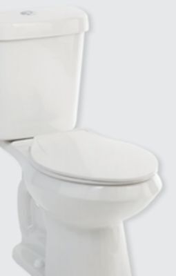The Home Depot Glacier bay dual-flush chair height elongated toilet kit offer