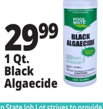 Ocean State Job Lot 1 qt. black algaecide offer