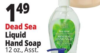 Ocean State Job Lot Dead sea liquid hand soap offer