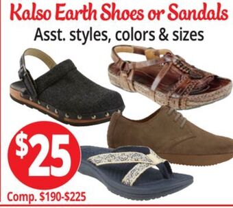 Ocean State Job Lot Kalso earth shoes or sandals offer