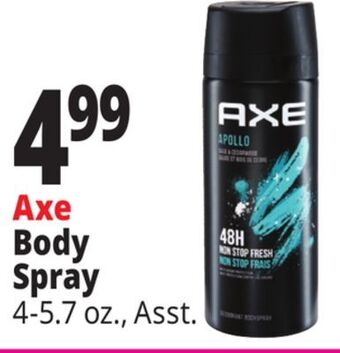 Ocean State Job Lot Axe body spray offer