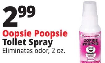 Ocean State Job Lot Oopsie poopsie toilet spray offer