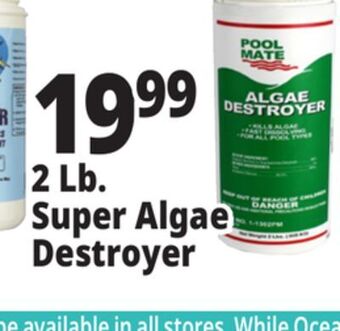 Ocean State Job Lot 2 lb. super algae destroyer offer