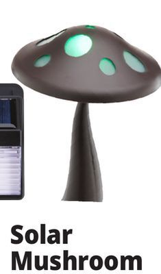 Ocean State Job Lot Solar mushroom offer