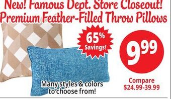 Ocean State Job Lot Premium feather-filled throw pillows offer