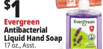 Ocean State Job Lot Evergreen fresh cucumber antibacterial hand soap, 17 oz offer