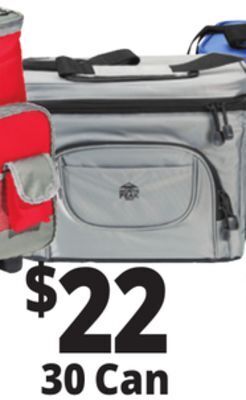 Ocean State Job Lot North peak hard lined cooler, 30-can offer