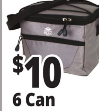 Ocean State Job Lot Insulated nylon coolers offer