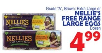 Bravo Supermarkets Nellie's free range large eggs offer