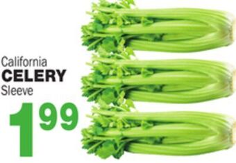 Bravo Supermarkets Celery offer