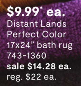 JC Penney Distant lands perfect color 17x24 bath rug offer