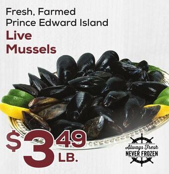 DeCicco & Sons Live mussels offer