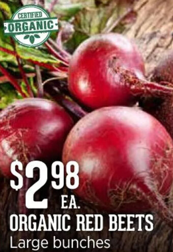 Harmons ORGANIC RED BEETS Large bunches offer