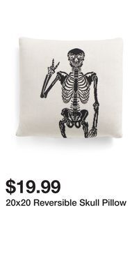 TJ Maxx 20x20 reversible skull pillow offer