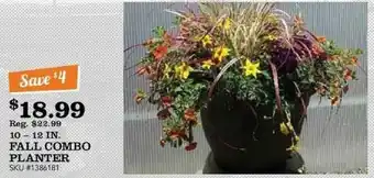 McLendon 10 - 12 In. Fall Combo Planter offer