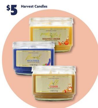 Family Dollar Harvest candles offer