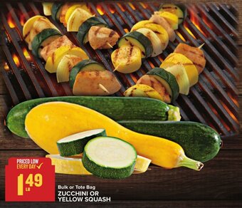 Food Lion ZUCCHINI OR YELLOW SQUASH offer