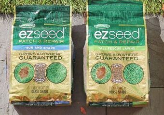 Ace Hardware Scotts ez seed , 10 lb. offer