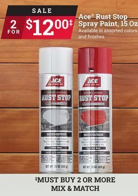 Ace Hardware Ace rust stop spray paint 15 oz offer
