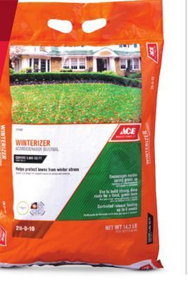 Ace Hardware Ace winterizer offer