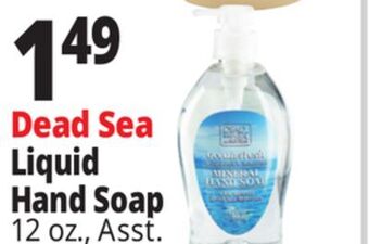 Ocean State Job Lot Dead sea liquid hand soap offer