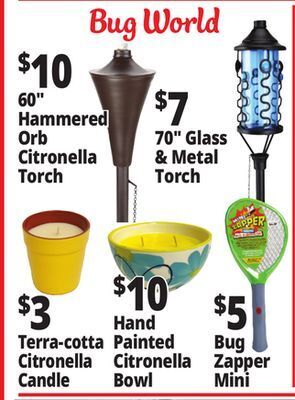 Ocean State Job Lot Bug world offer