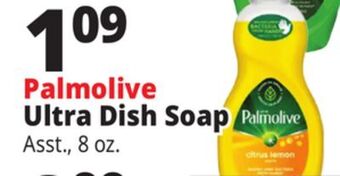 Ocean State Job Lot Palmolive ultra dish soap offer
