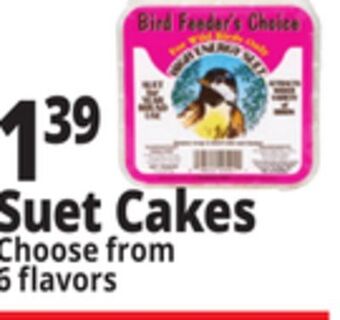 Ocean State Job Lot Suet cakes offer