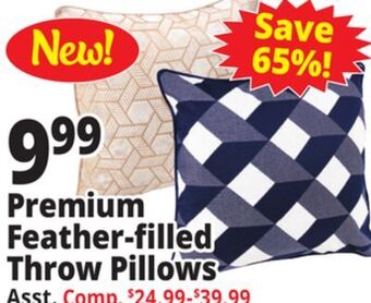 Ocean State Job Lot Premium feather-filled throw pillows offer