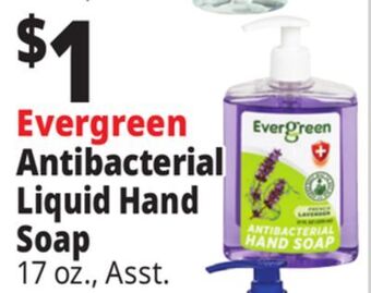 Ocean State Job Lot Evergreen fresh cucumber antibacterial hand soap, 17 oz offer
