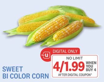 Kings Food Markets Sweet bi color corn offer