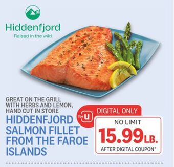 Kings Food Markets Hiddenfjord salmon fillet from the faroe islands offer