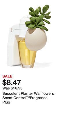 Bath & Body Works Succulent planter wallflowers scent control fragrance plug offer