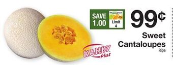 The Fresh Grocer Sweet cantaloupes offer