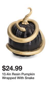 TJ Maxx 13.4in resin pumpkin wrapped with snake offer