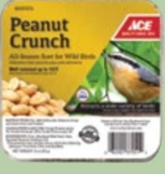 Ace Hardware Ace bird suet, 11 oz offer