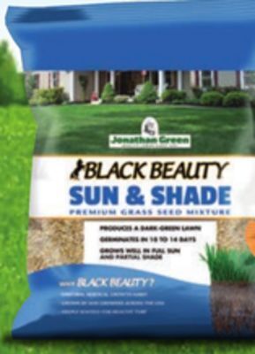 Ace Hardware Jonathan green black beauty seed, 3 lb offer
