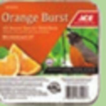 Ace Hardware Ace bird suet, 11 oz offer