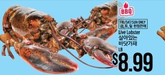 Hmart Live lobster offer