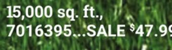 Ace Hardware Jonathan green lawn food offer