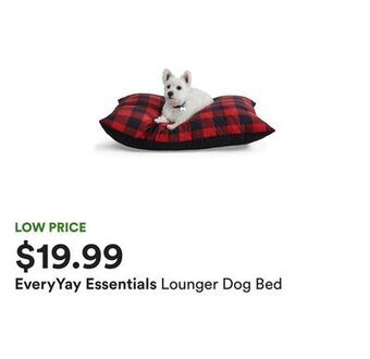 Petco Lounger dog bed offer