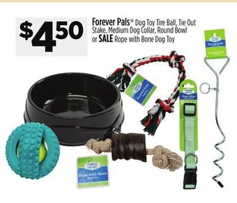 Dollar General Forever pals offer