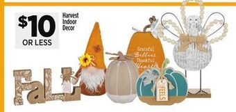 Dollar General Harvest indoor decor offer