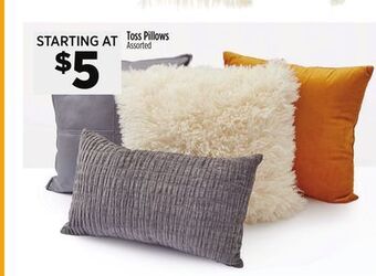 Dollar General Toss pillows offer