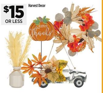 Dollar General Harvest decor offer
