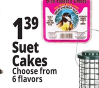 Ocean State Job Lot Suet cakes offer