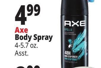 Ocean State Job Lot Axe body spray offer