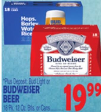 Bravo Supermarkets Budweiser beer offer